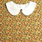 ���̑��̉摜