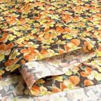 ���̑��̉摜