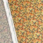 ���̑��̉摜