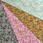 ���̑��̉摜