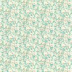 ���̑��̉摜