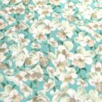 ���̑��̉摜