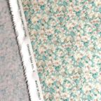 ���̑��̉摜