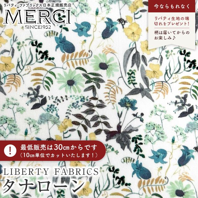 ���̑��̉摜