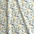 ���̑��̉摜