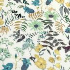 ���̑��̉摜