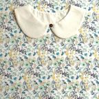 ���̑��̉摜