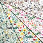 ���̑��̉摜