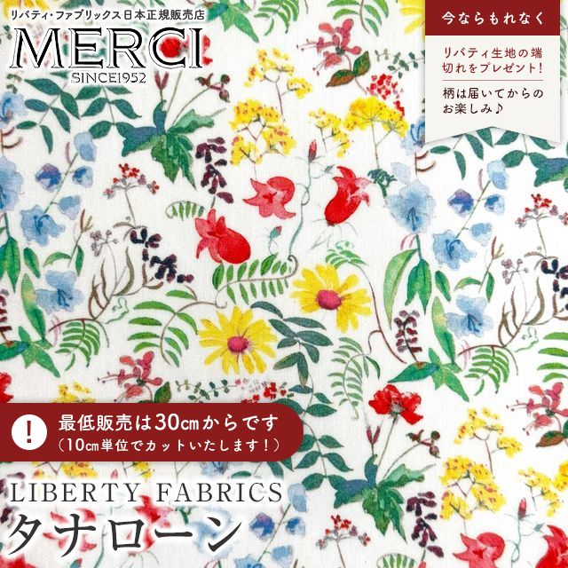 ���̑��̉摜