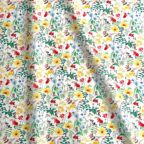 ���̑��̉摜