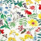 ���̑��̉摜