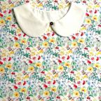 ���̑��̉摜