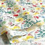 ���̑��̉摜