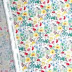 ���̑��̉摜