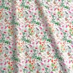 ���̑��̉摜