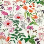 ���̑��̉摜