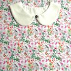 ���̑��̉摜