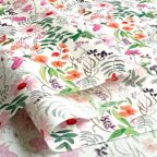 ���̑��̉摜