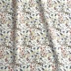 ���̑��̉摜