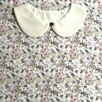 ���̑��̉摜