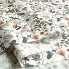 ���̑��̉摜