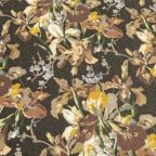 ���̑��̉摜