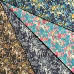 ���̑��̉摜