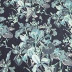 ���̑��̉摜