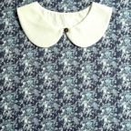 ���̑��̉摜