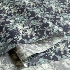 ���̑��̉摜