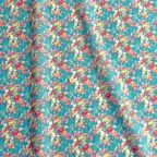 ���̑��̉摜