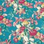 ���̑��̉摜