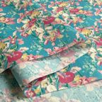 ���̑��̉摜