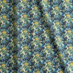 ���̑��̉摜