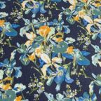 ���̑��̉摜