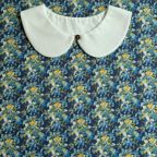 ���̑��̉摜