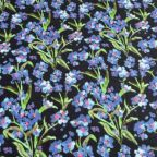 ���̑��̉摜