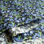 ���̑��̉摜