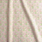 ���̑��̉摜