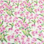 ���̑��̉摜