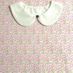 ���̑��̉摜