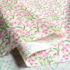 ���̑��̉摜