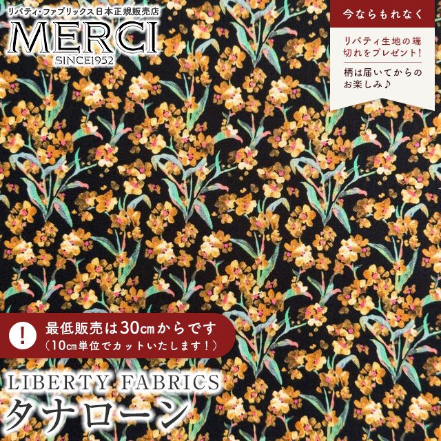 ���̑��̉摜