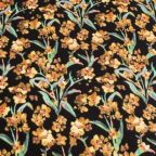 ���̑��̉摜