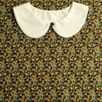 ���̑��̉摜