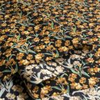 ���̑��̉摜