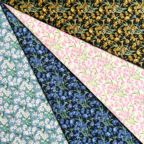 ���̑��̉摜