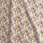 ���̑��̉摜