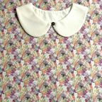 ���̑��̉摜