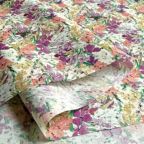 ���̑��̉摜